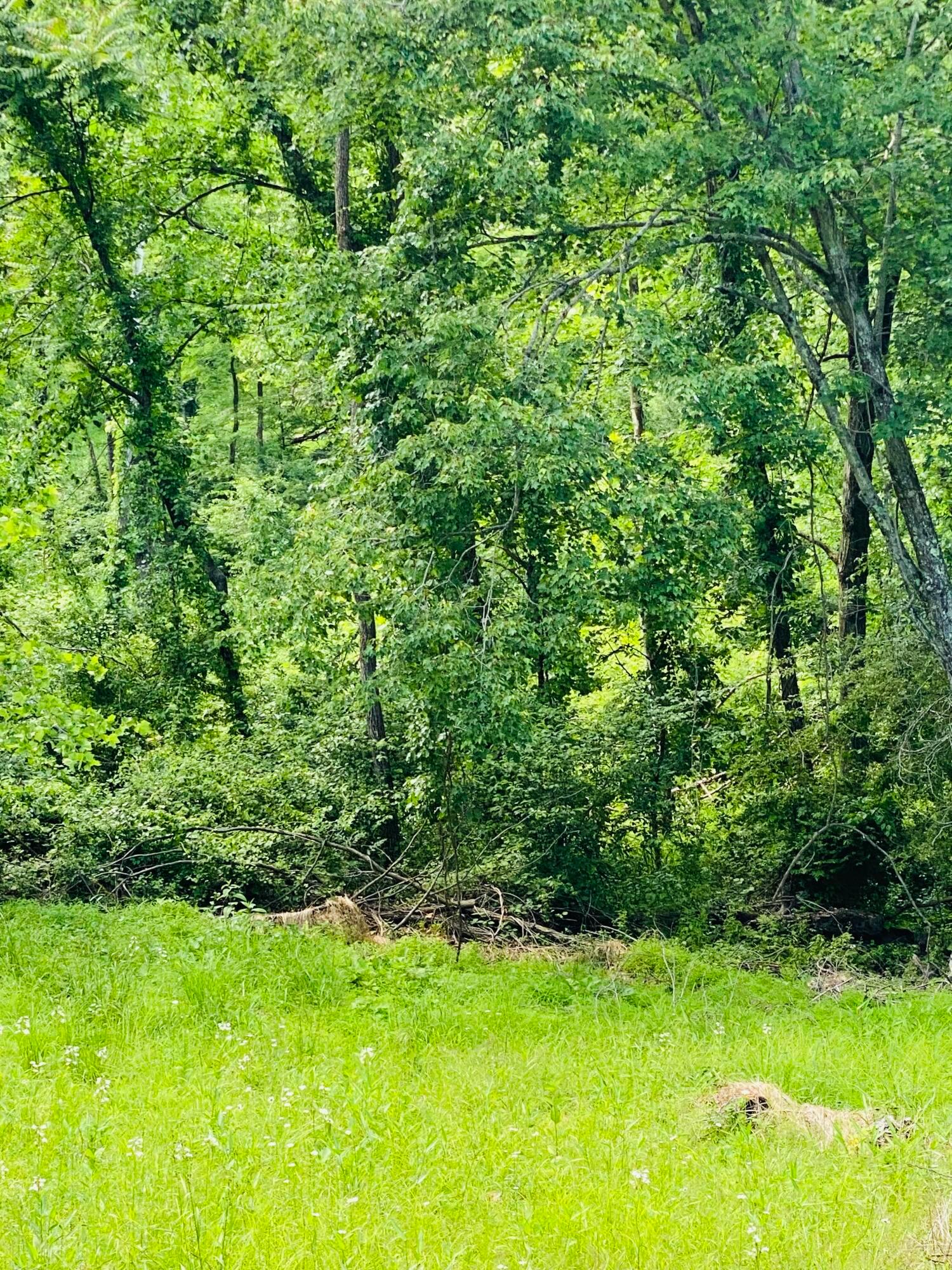 4744 Spring Hill Road Southeast Newark, OH 43056 - Photo 2 of 7