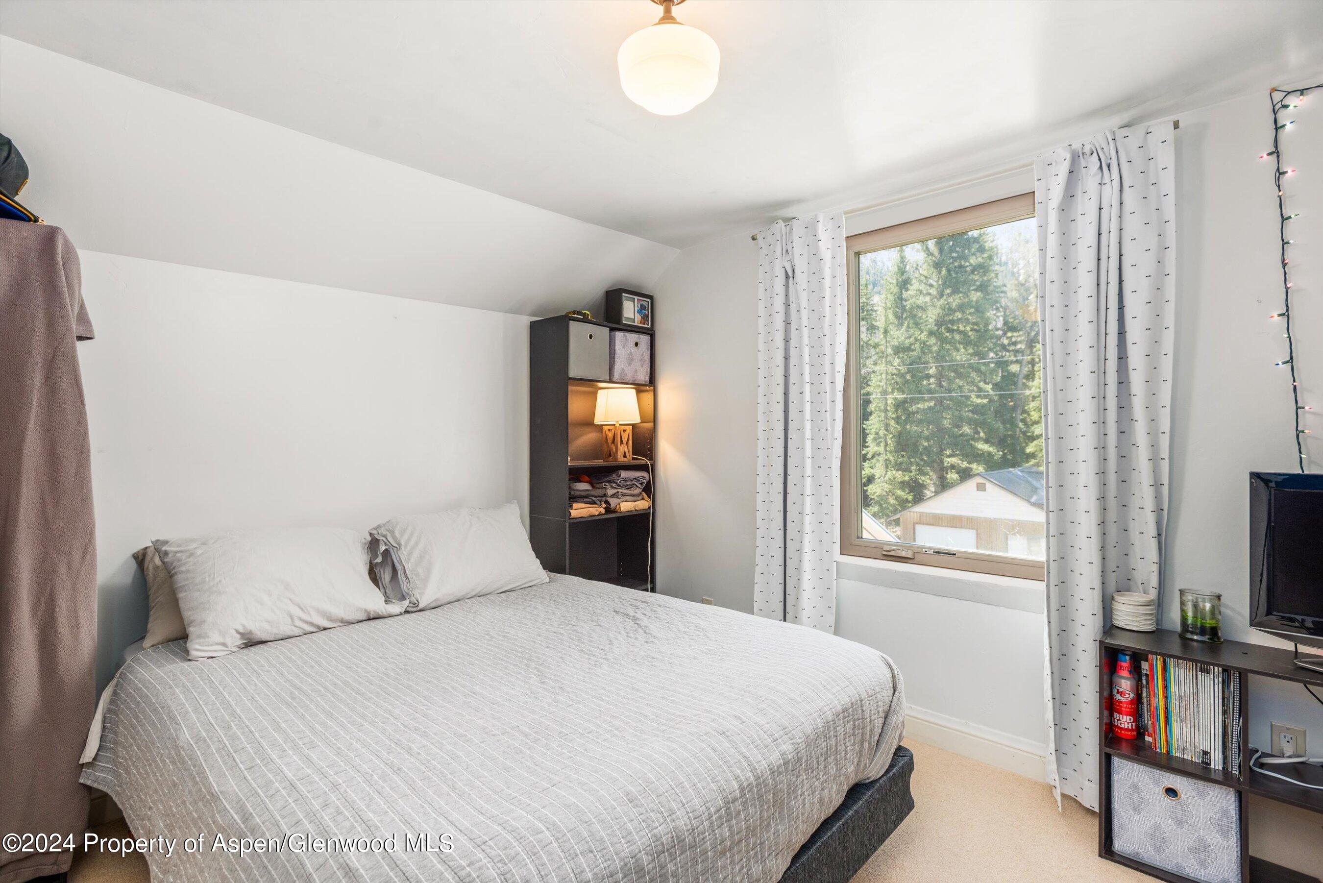 113 West State Street Marble, CO 81623 - Photo 25 of 44 a bedroom with a bed and a flat tv screen next to a window