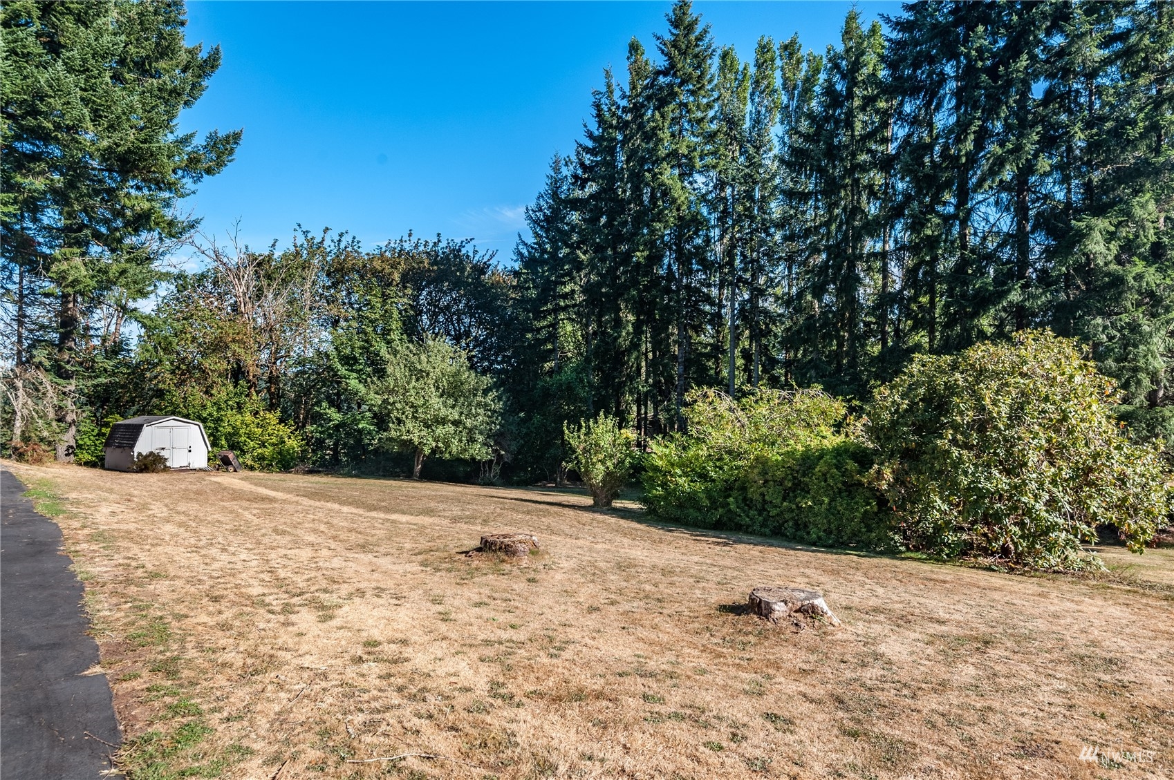 852 Chapman Road Castle Rock, WA 98611 - Photo 24 of 37 Gallery Image 24