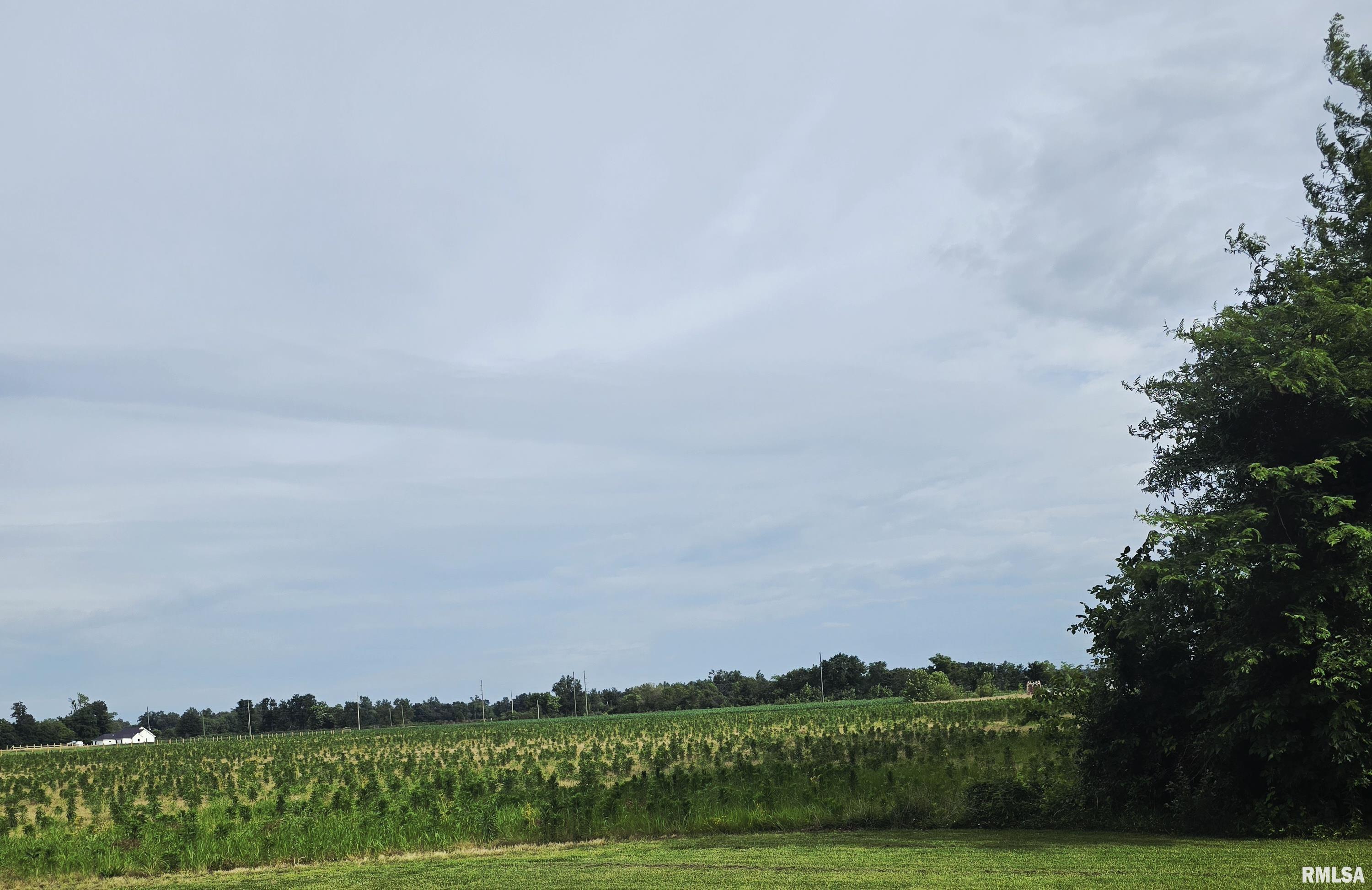 0 Neilson Road Thompsonville, IL 62890 - Photo 1 of 2