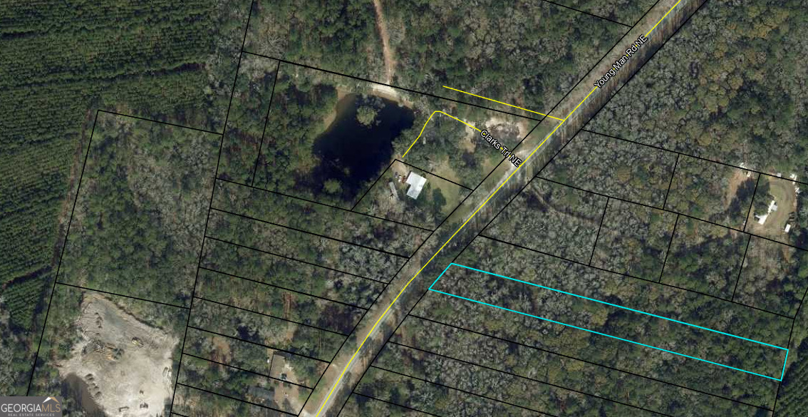 0 Youngman Road Townsend, GA 31331 - Photo 6 of 9