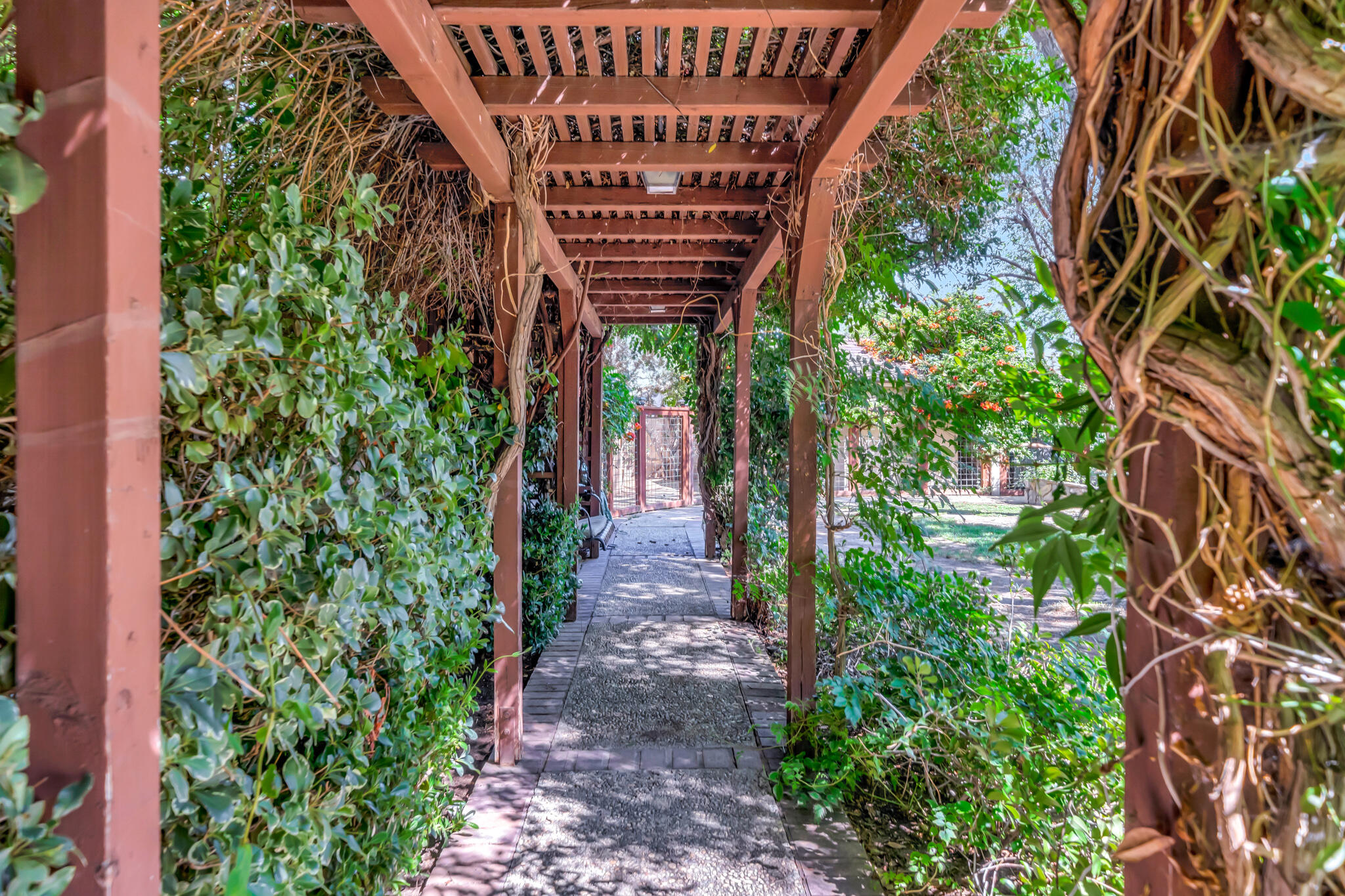 39844 Golfers Drive Palmdale, CA 93551 - Photo 59 of 87 a view of a pathway with plants and large trees