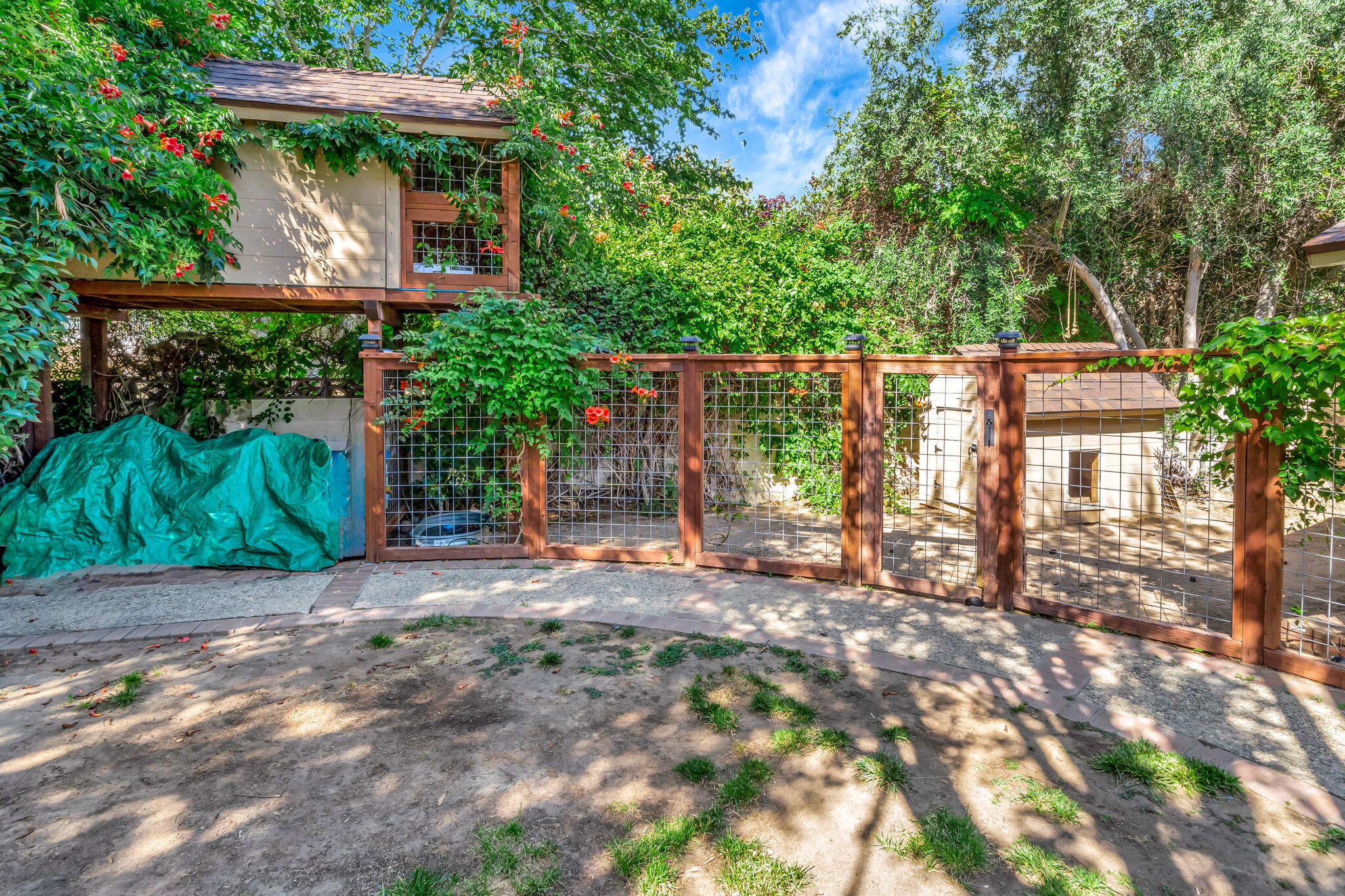 39844 Golfers Drive Palmdale, CA 93551 - Photo 66 of 87 a backyard of a house with lots of green space