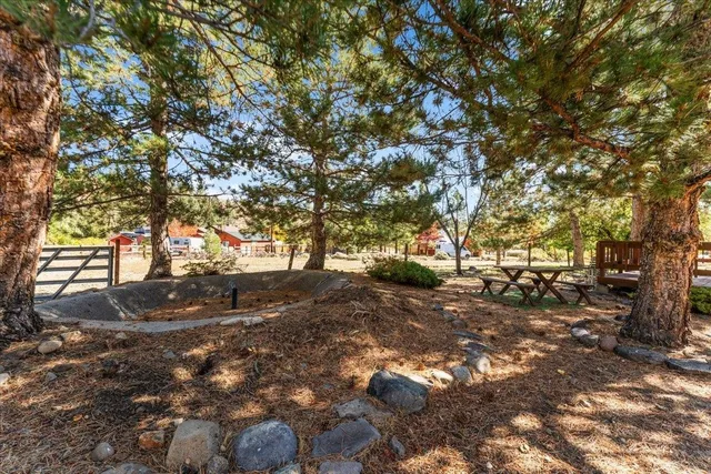 a backyard of a house with lots of green space