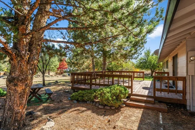 a view of a bench in a garden
