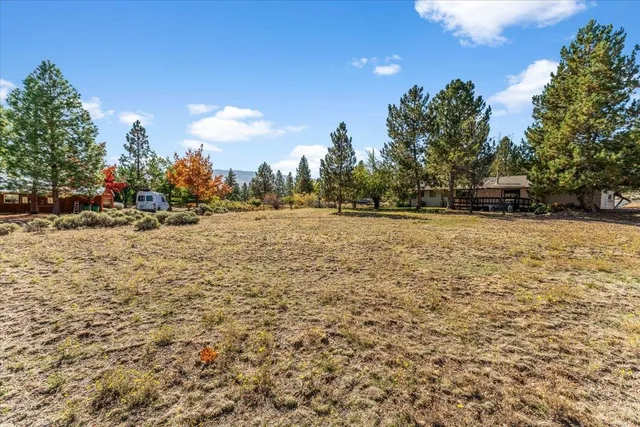 a view of a yard with trees in the background