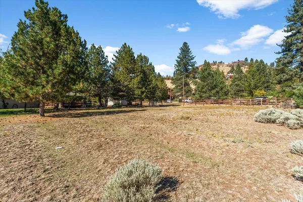 a view of outdoor space with trees