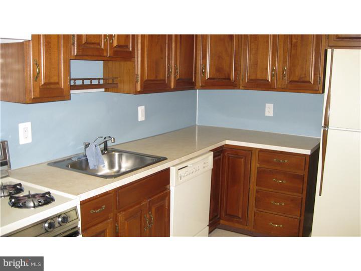 232 Wayne Avenue Springfield, PA 19064 - Photo 5 of 16