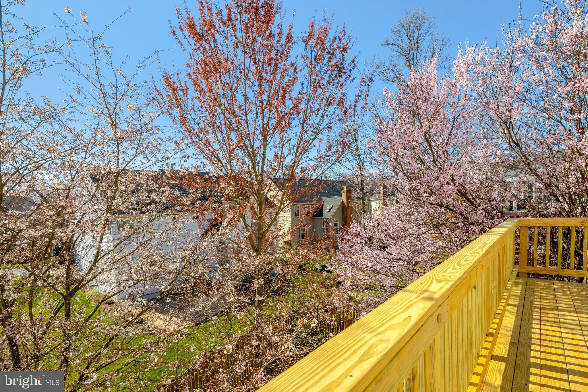 8497 Silverview Drive Lorton, VA 22079 - Photo 46 of 50 a view of swimming pool with a backyard