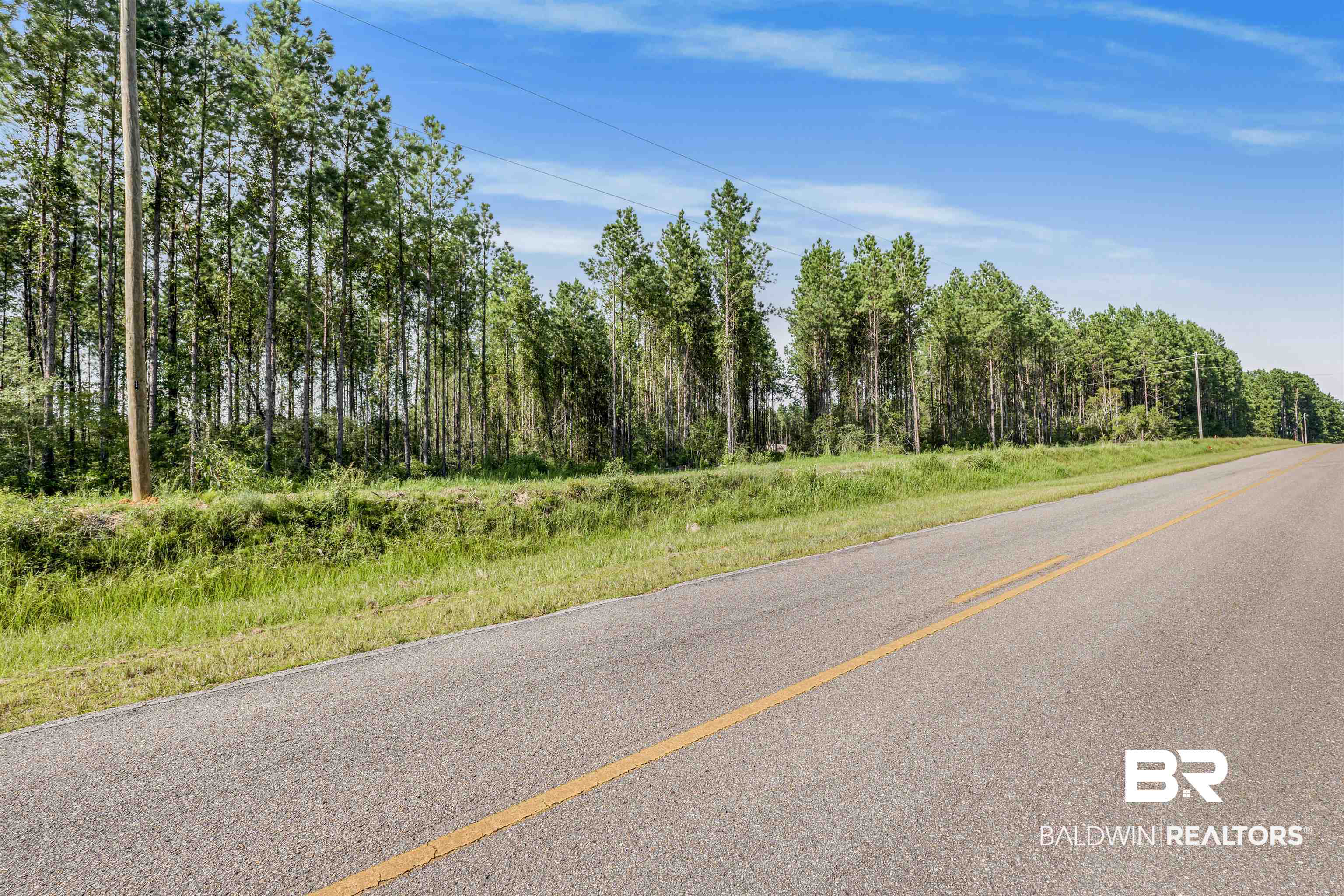 27861 New Hope Church Road Robertsdale, AL 36567 - Photo 16 of 29 View of road