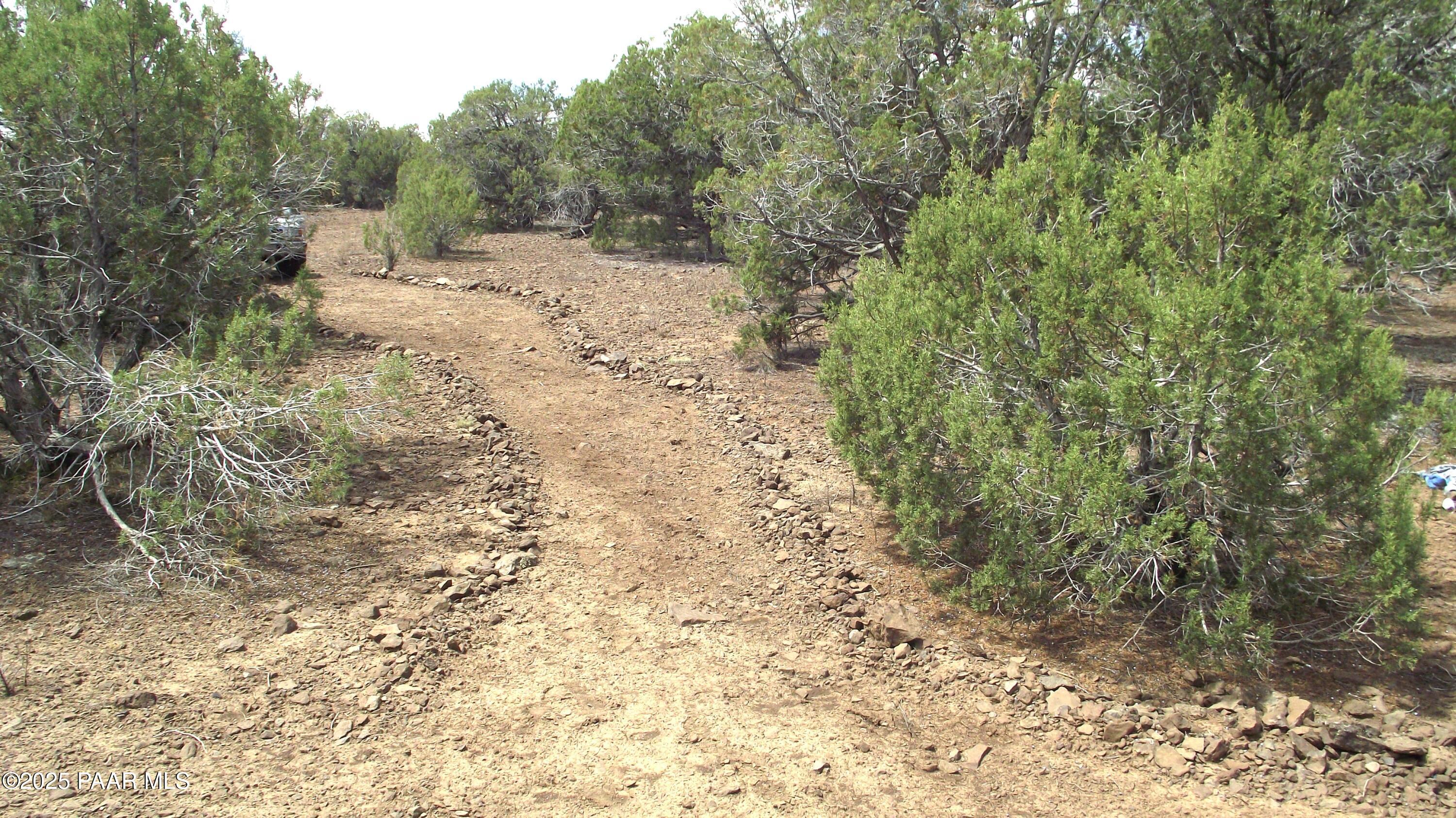 Lot 13 Westwood Ranch Williams, AZ 86046 - Photo 15 of 34 a view of a dry yard with trees