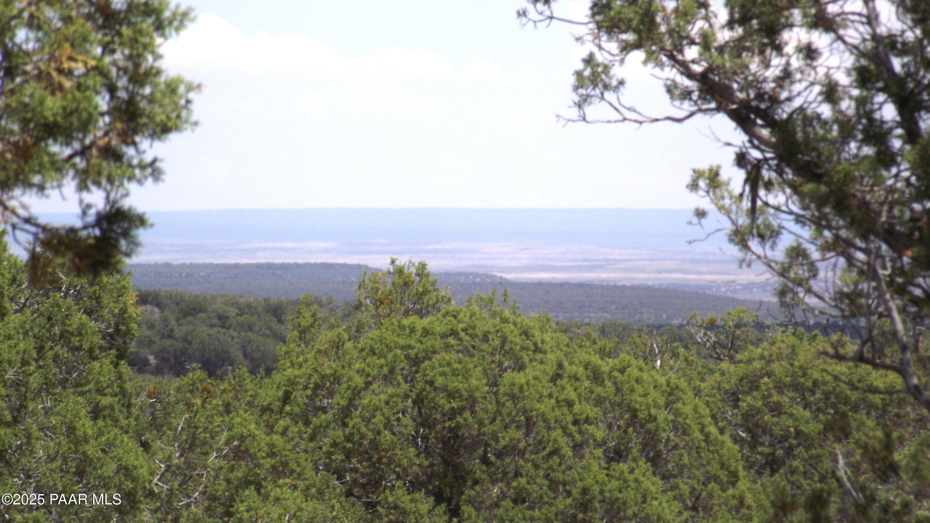 Lot 13 Westwood Ranch Williams, AZ 86046 - Photo 22 of 34 a view of a yard with an trees