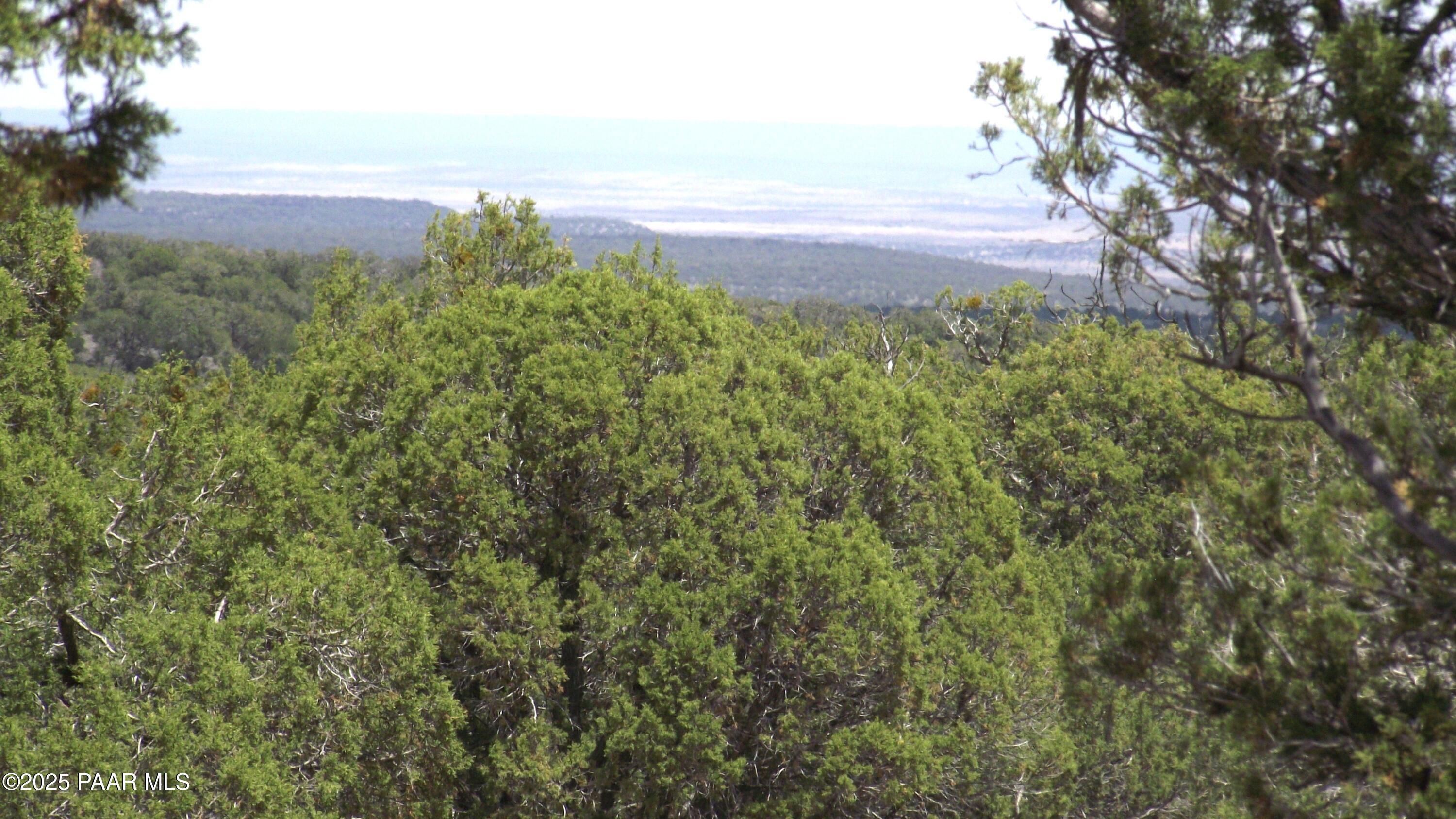 Lot 13 Westwood Ranch Williams, AZ 86046 - Photo 23 of 34 a view of a yard and an trees