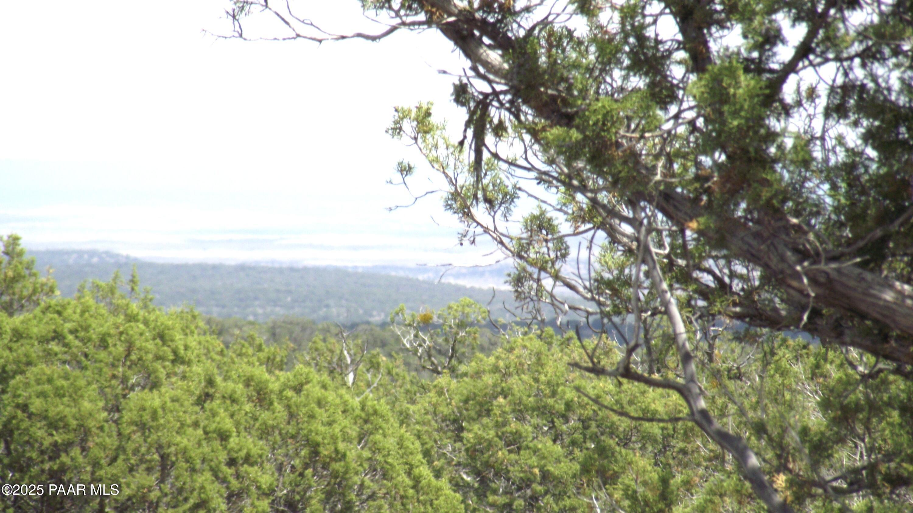 Lot 13 Westwood Ranch Williams, AZ 86046 - Photo 32 of 34 a view of a city with lush green forest
