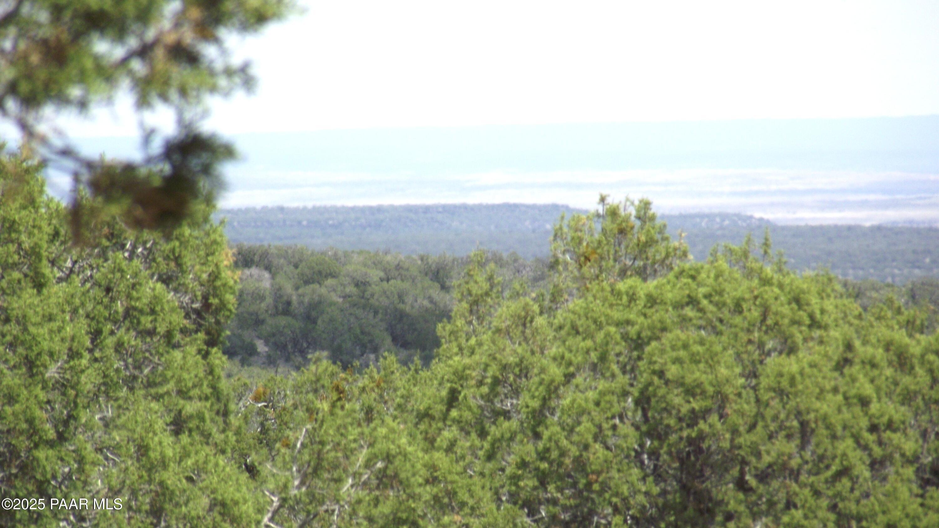 Lot 13 Westwood Ranch Williams, AZ 86046 - Photo 33 of 34 a view of a yard and an ocean