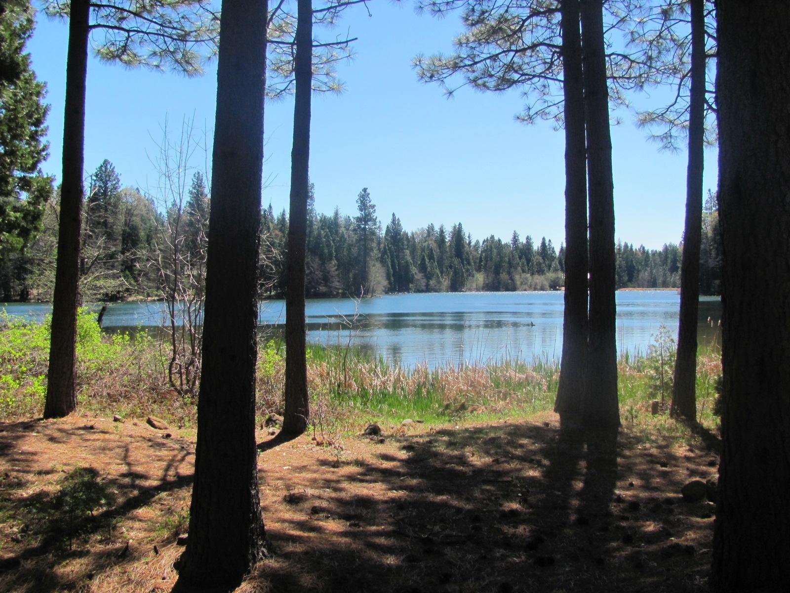 Nearby lake
