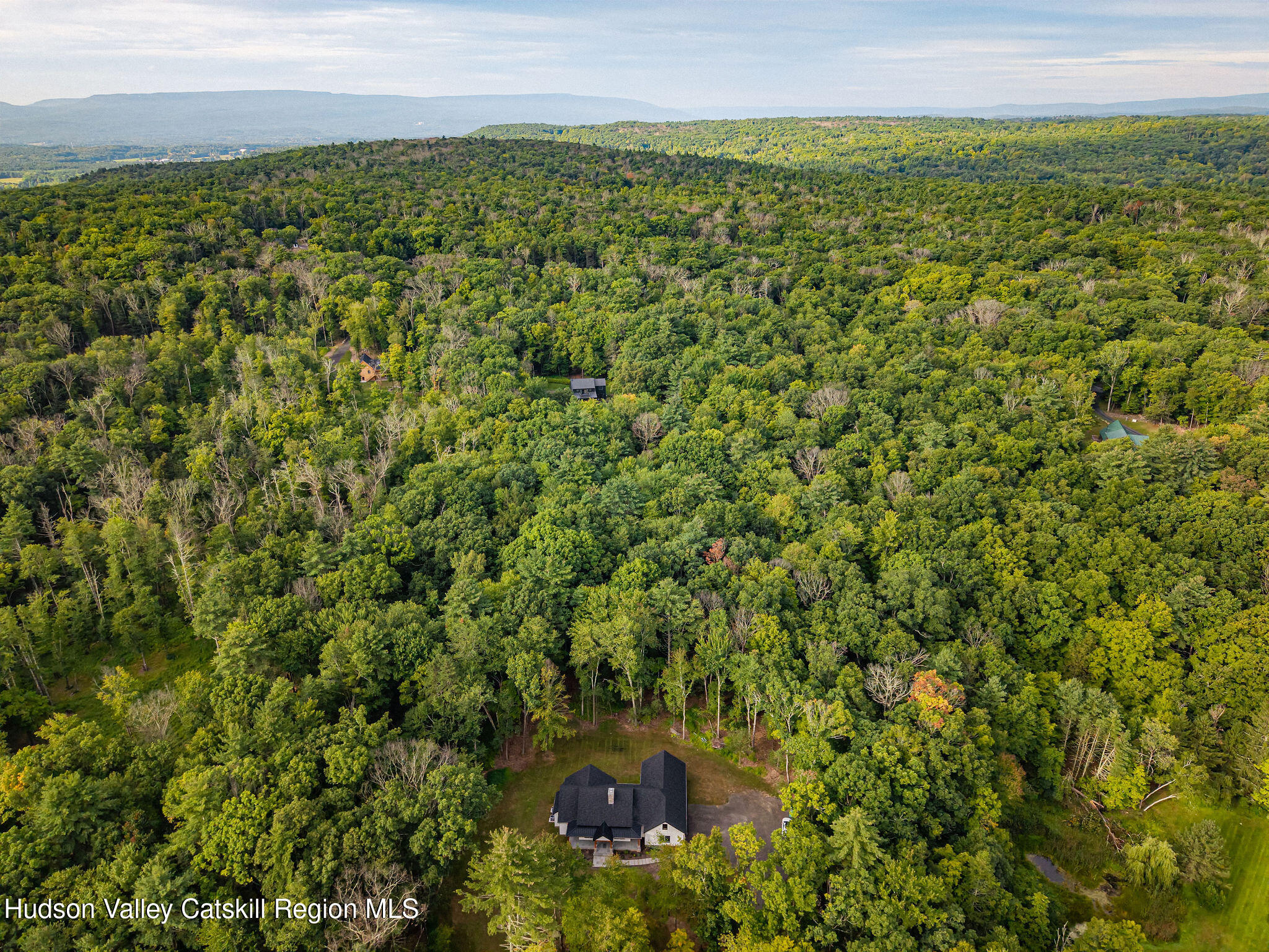 393 Buck Road Stone Ridge, NY 12484 - Photo 41 of 41 drone above
