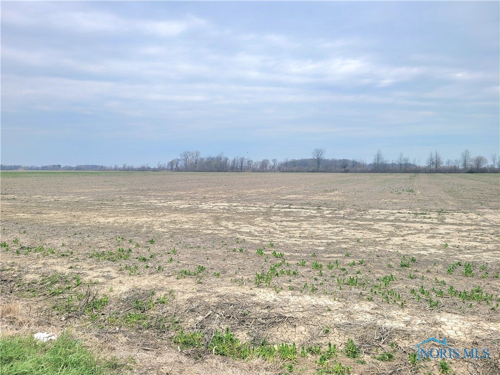 19367 West Walbridge East Road Martin, OH 43445 - Photo 3 of 4 Gallery Image 3
