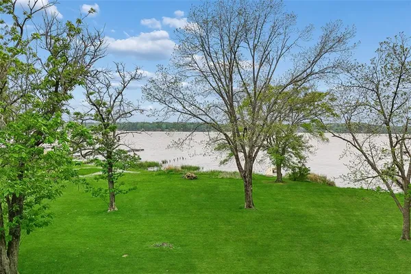 a view of yard with trees