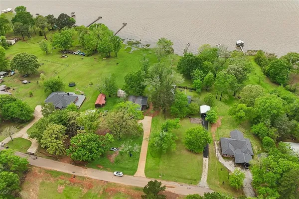 a view of a yard with plants