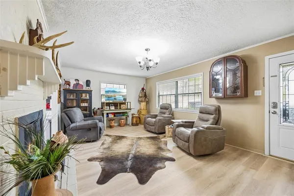 a living room with furniture potted plant and a fireplace