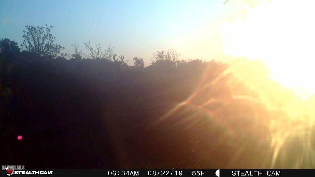 9256 East Greenvale Road Stockton, IL 61085 - Photo 21 of 22 a view of sunset