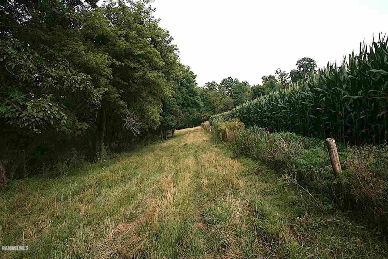 9256 East Greenvale Road Stockton, IL 61085 - Photo 5 of 22 a view of a forest with a lake