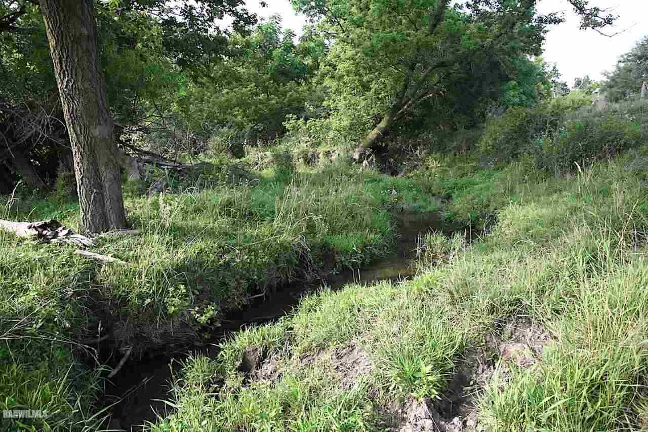 9256 East Greenvale Road Stockton, IL 61085 - Photo 6 of 22 a view of a lush green forest with lots of trees