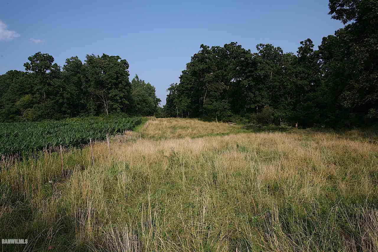 9256 East Greenvale Road Stockton, IL 61085 - Photo 7 of 22 a view of a yard with a tree