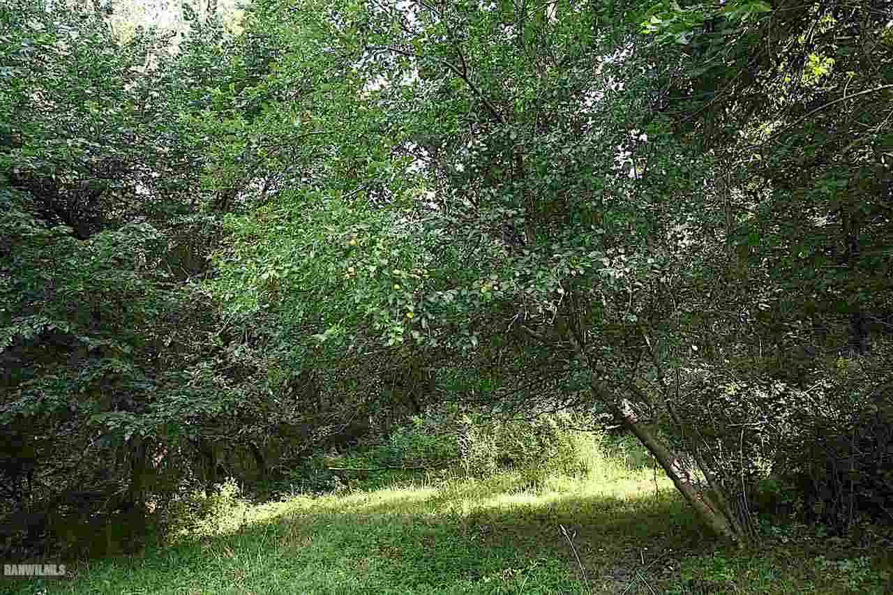 9256 East Greenvale Road Stockton, IL 61085 - Photo 8 of 22 a view of a yard