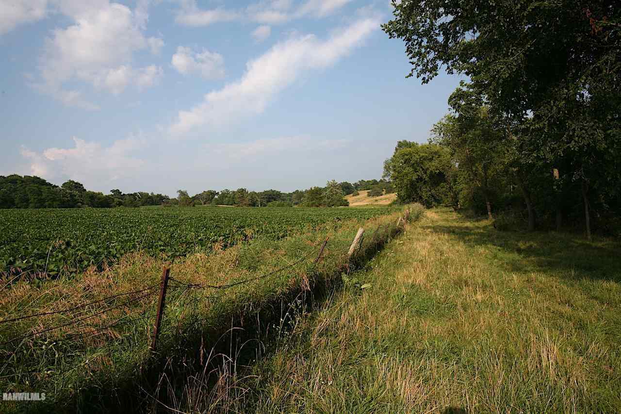 9256 East Greenvale Road Stockton, IL 61085 - Photo 10 of 22 a view of a lake with green space