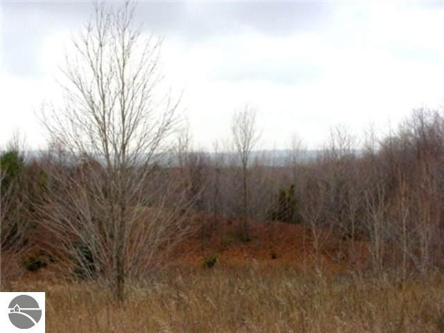 4068 Raymond Road Frankfort, MI 49635 - Photo 7 of 40