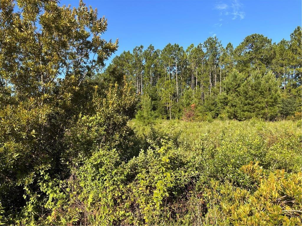 0 Horseshoe Cove Road Waverly, GA 31565 - Photo 1 of 2