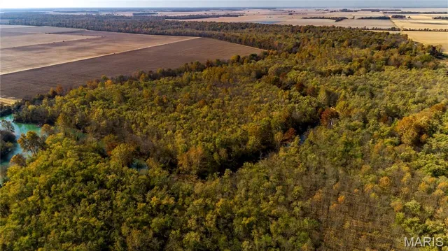 $350,000 | 211 North Qulin Mo 63961, Qulin, MO 63961