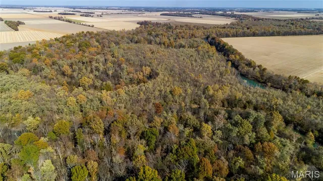 $350,000 | 211 North Qulin Mo 63961, Qulin, MO 63961