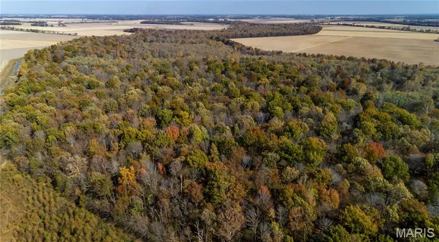 $350,000 | 211 North Qulin Mo 63961, Qulin, MO 63961