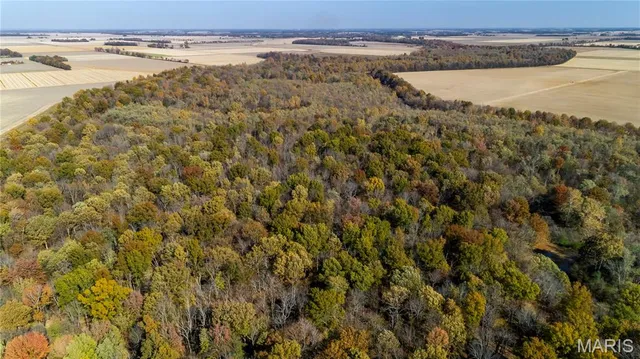 $350,000 | 211 North Qulin Mo 63961, Qulin, MO 63961