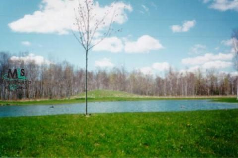 0 Morin Palms, MI 48465 - Photo 1 of 1 877223.JPG