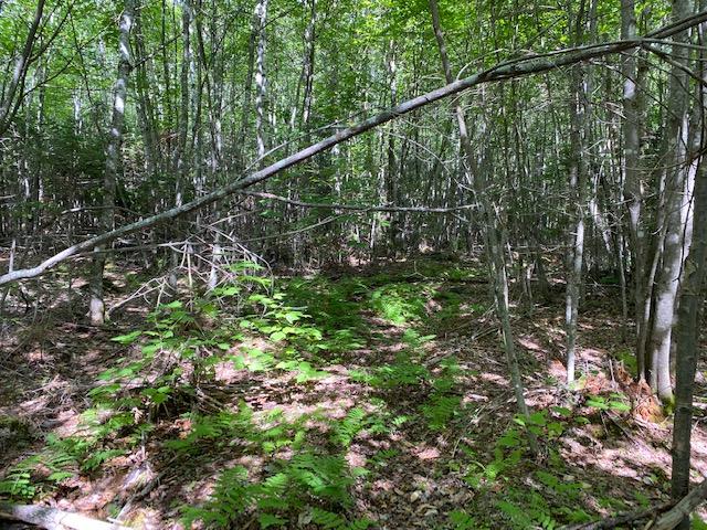 5-8 East Road Greenville, ME 04441 - Photo 13 of 19 IMG_3181