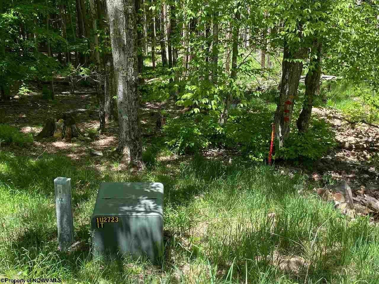 137 Ridge Davis Wv 26260 Davis, WV 26260 - Photo 8 of 12 Gallery Image 8