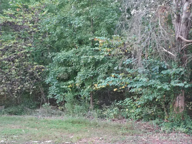 a view of a bench in a backyard