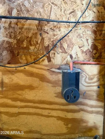 a room with a wooden floor and a potted plant on the side of a wall