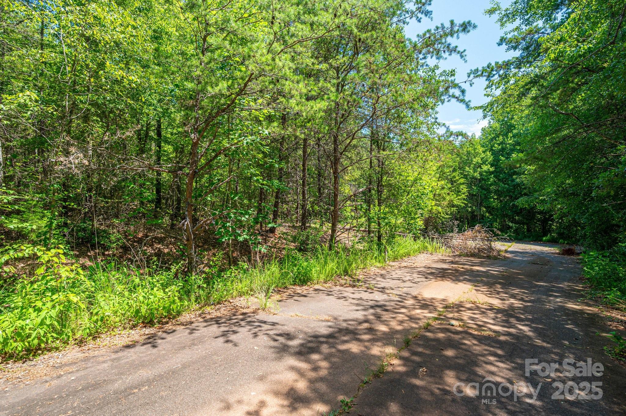 0 Meadow Crossing Drive Rutherfordton, NC 28139 - Photo 14 of 22 a view of a yard with plants and trees