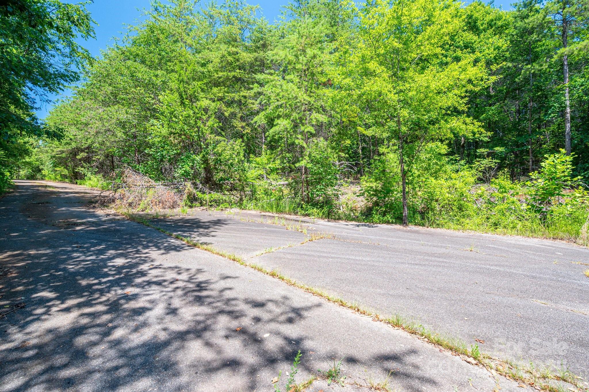 0 Meadow Crossing Drive Rutherfordton, NC 28139 - Photo 18 of 22 a view of a yard with plants and a trees