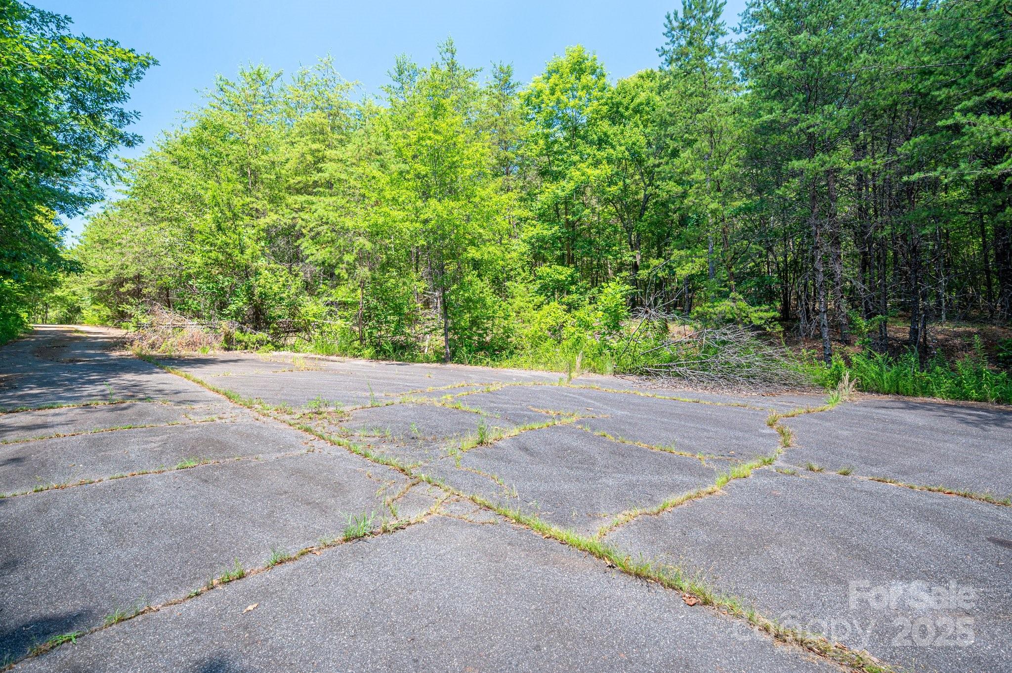 0 Meadow Crossing Drive Rutherfordton, NC 28139 - Photo 19 of 22 a view of a garden with plants