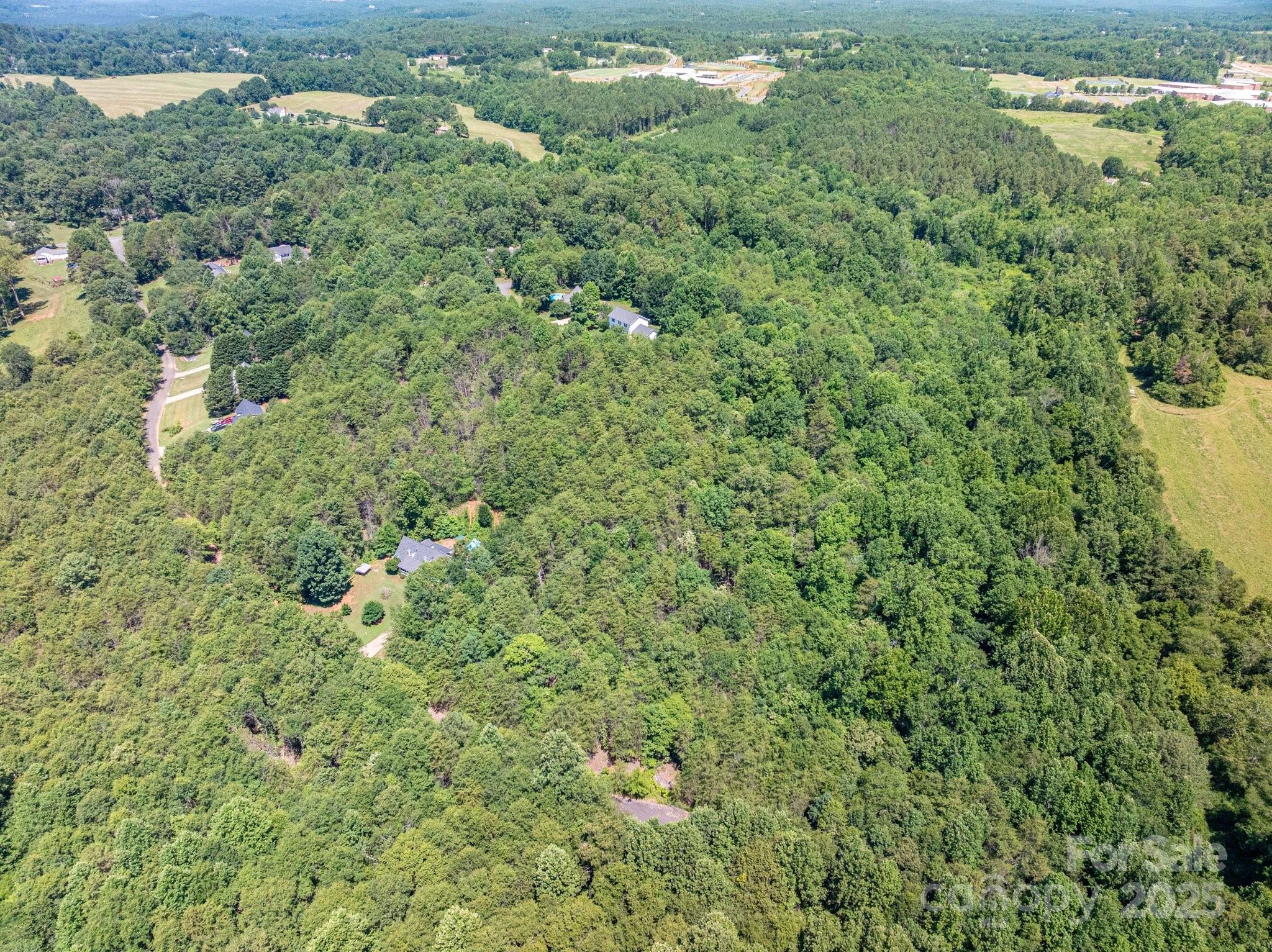 0 Meadow Crossing Drive Rutherfordton, NC 28139 - Photo 2 of 22 a view of a forest with a houses
