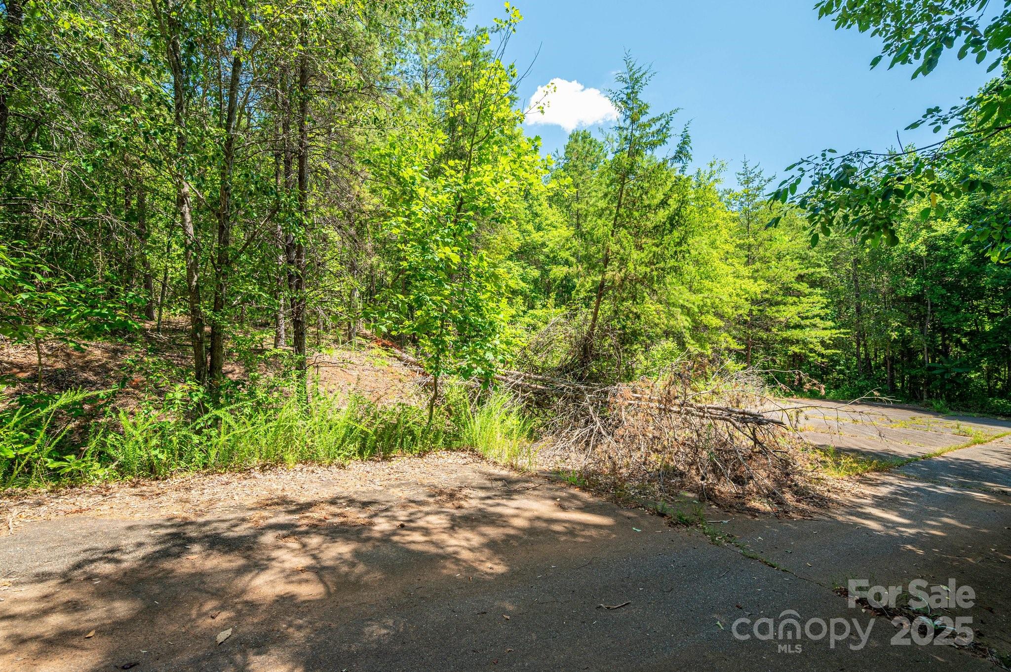 0 Meadow Crossing Drive Rutherfordton, NC 28139 - Photo 3 of 22 a view of a street with a yard