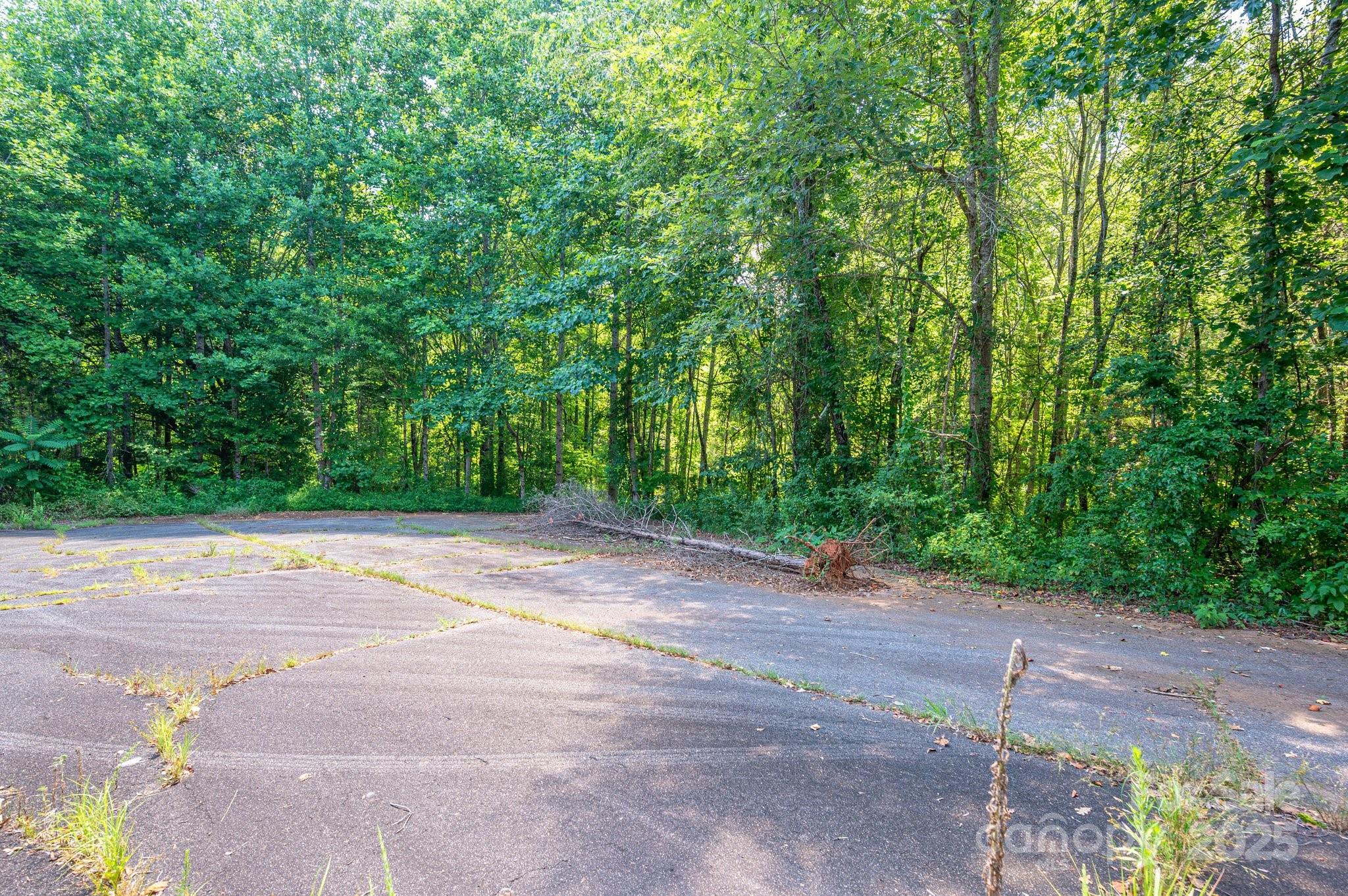 0 Meadow Crossing Drive Rutherfordton, NC 28139 - Photo 4 of 22 a view of a street with a small yard