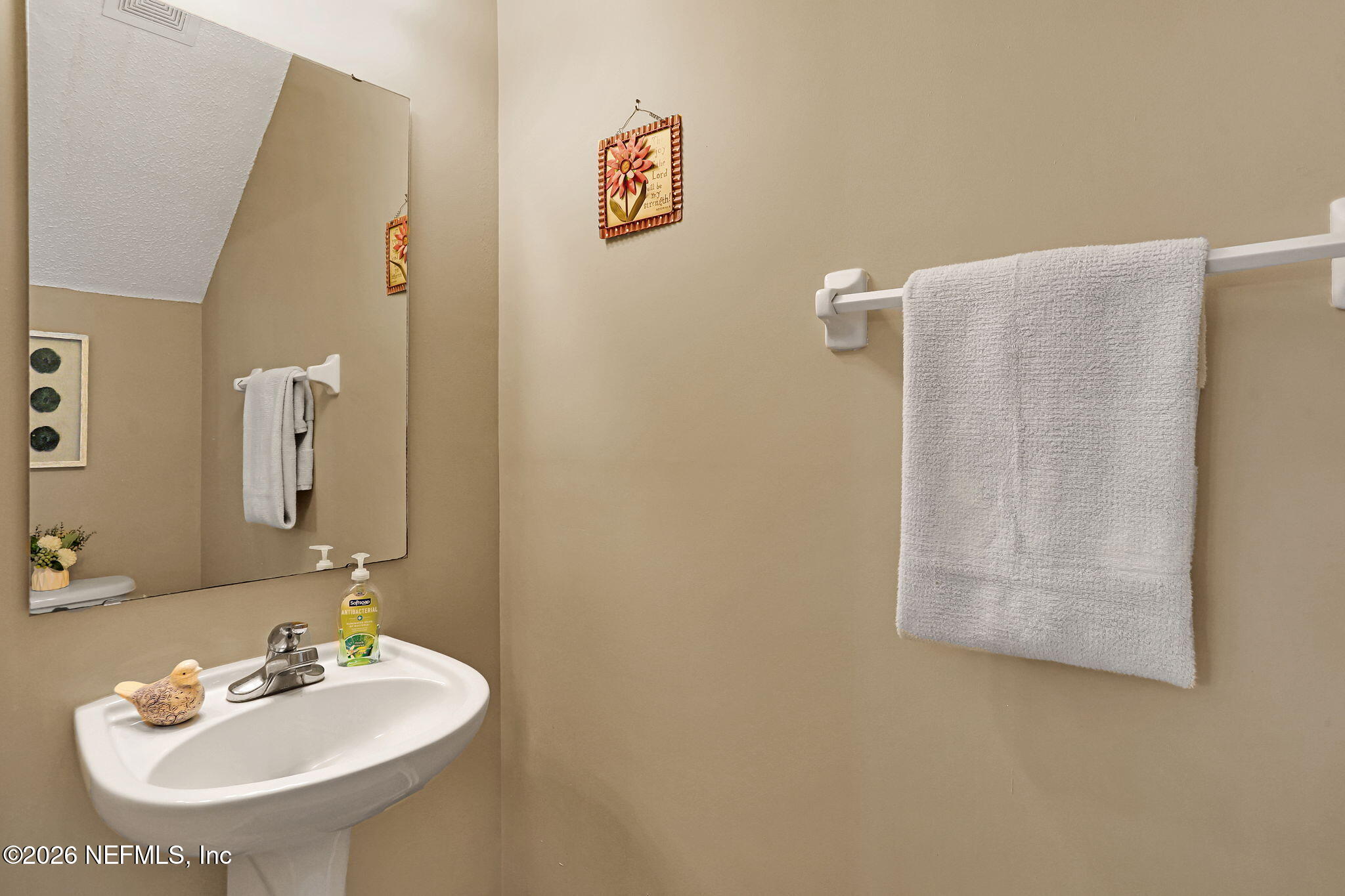 8629 Ribbon Falls Lane Jacksonville, FL 32244 - Photo 12 of 39 a bathroom with a sink and a mirror