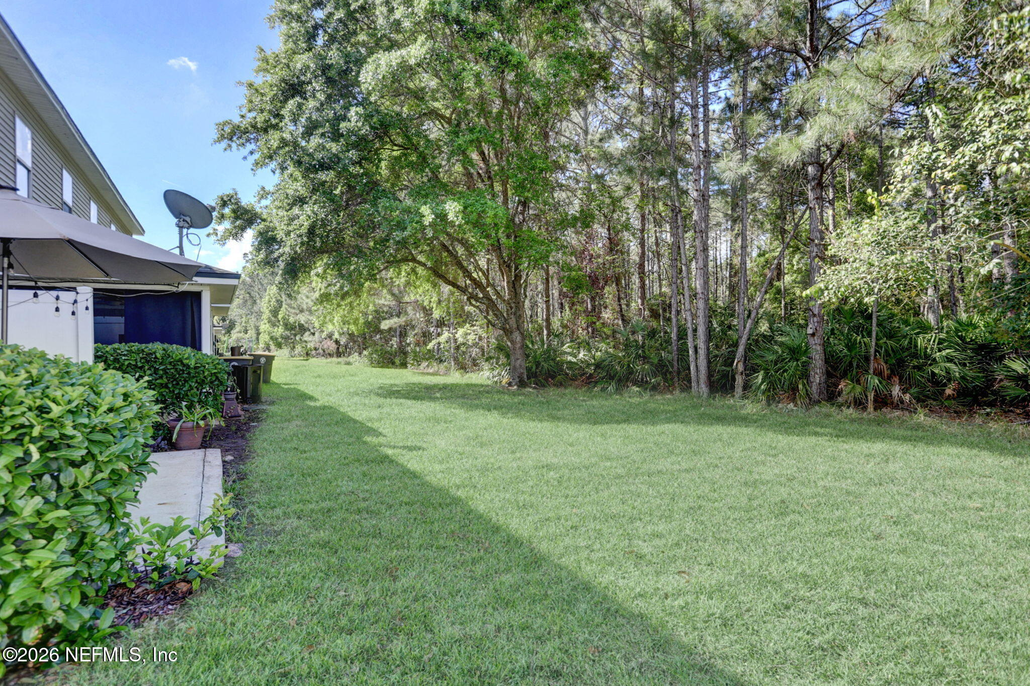 8629 Ribbon Falls Lane Jacksonville, FL 32244 - Photo 15 of 39 a view of a garden with trees